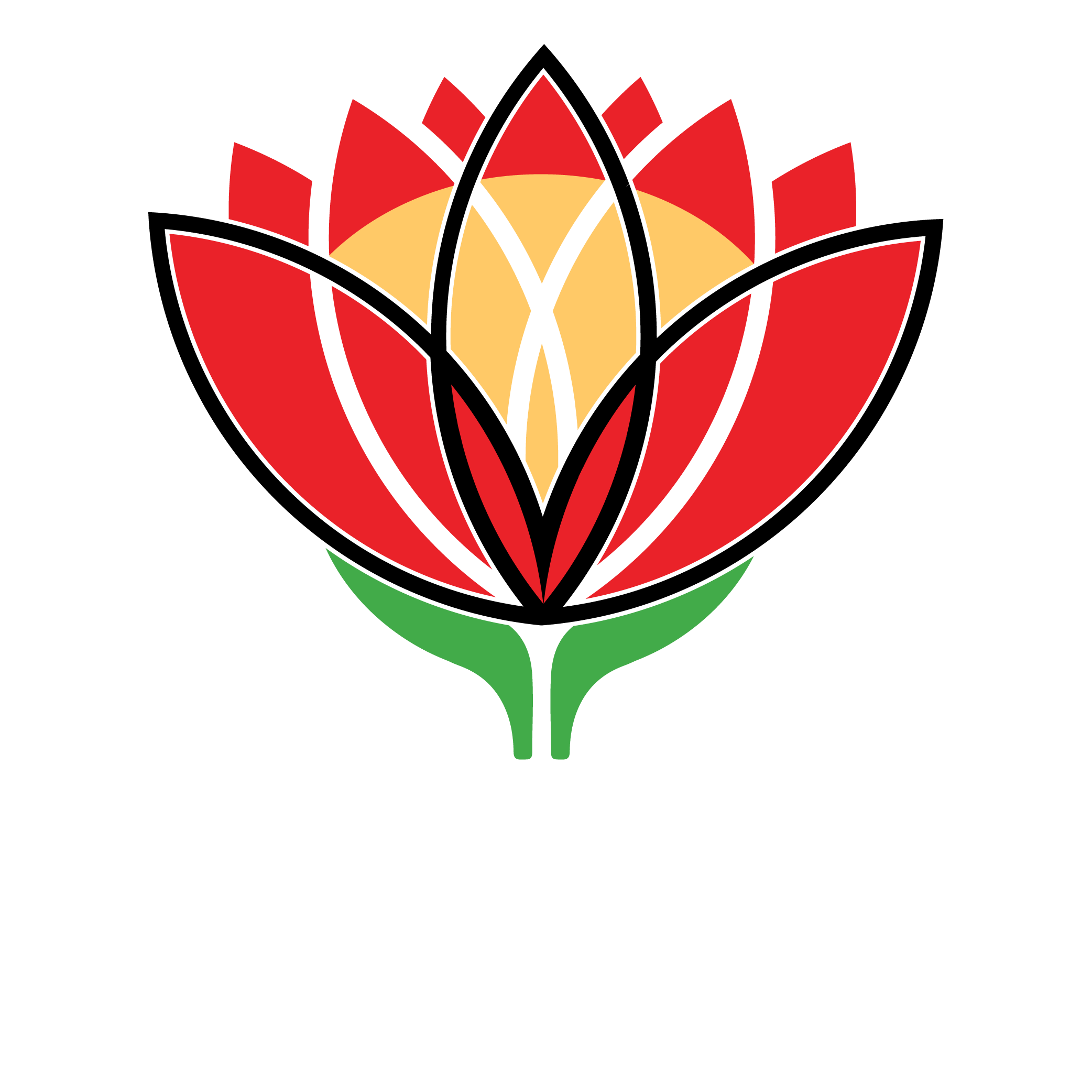 WCIRI WP International Rugby Institute